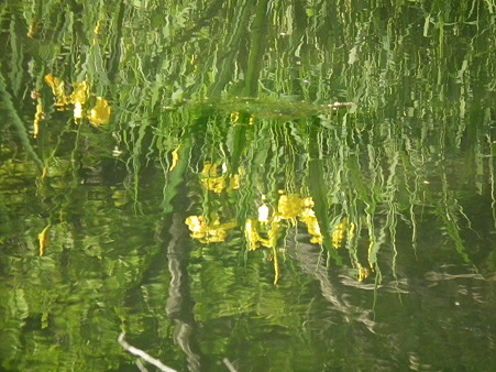 DSCF0639