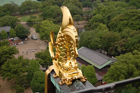 大阪城　金鯱