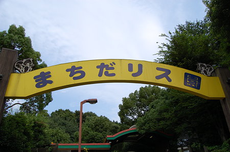 町田リス園