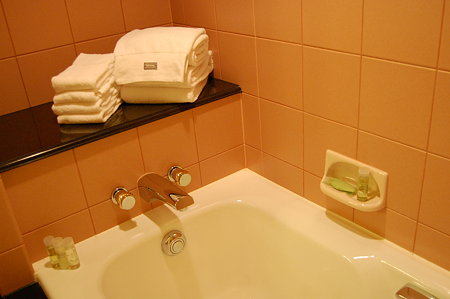 Westinホテル東京　エグゼクティブクラブフロアー　バスルーム