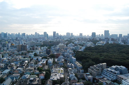 ウェスティンホテル東京　朝の眺め