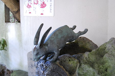 宇治神社　手水舎の神兎