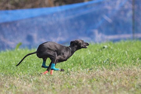 IMG_7792