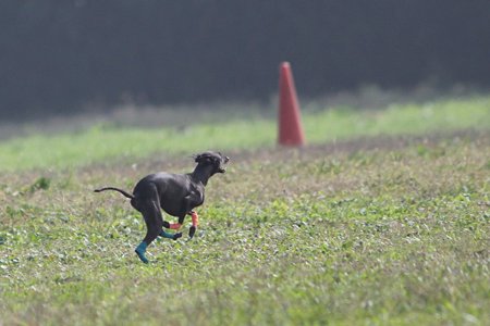 IMG_7814