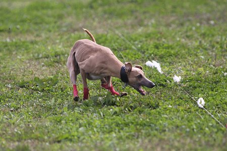 IMG_8161