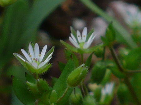 P1160666