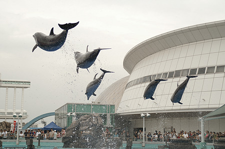nagoya050924030
