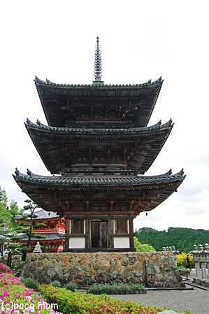 壷阪寺 三重塔2012年05月04日_DSC_2367