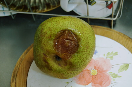 2010年12月06日_DSC_0366
