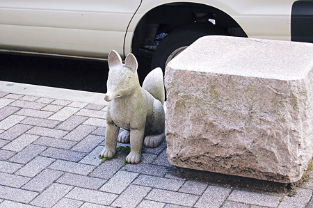 2011年01月10日_DSC_0236