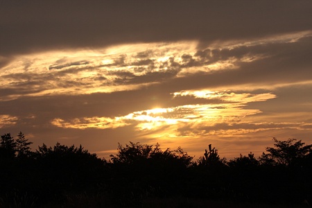evening 2