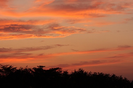 evening 45