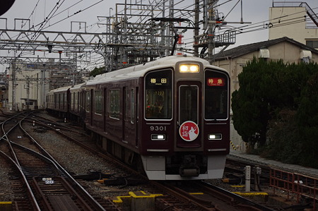 IMGP7444
