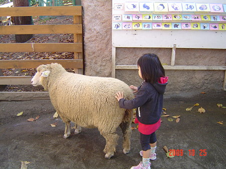DSC05513