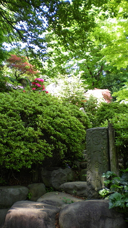 IMGP4591