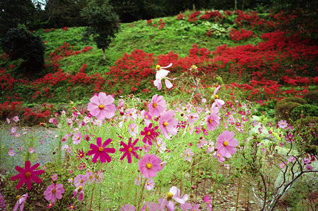 Image0884