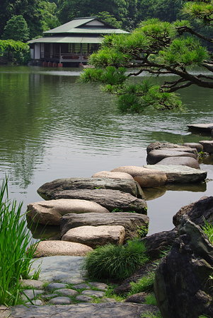 IMGP8518