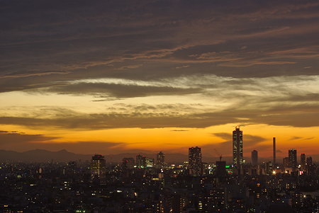 IMGP9560