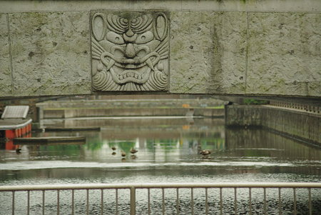 IMGP0343