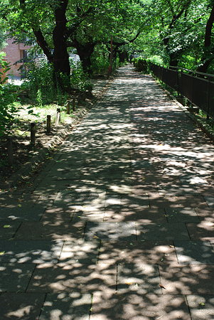 IMGP1777