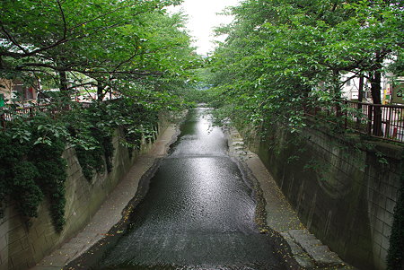 IMGP2096
