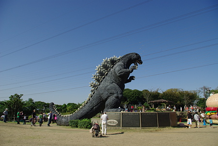IMGP6252