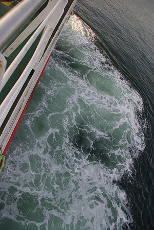 IMGP6500