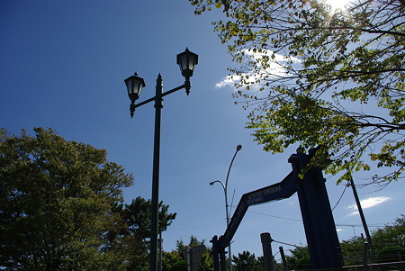 IMGP7859