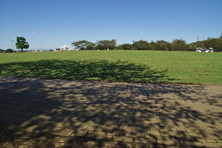 IMGP7851
