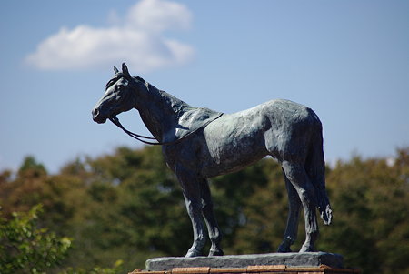 IMGP7898