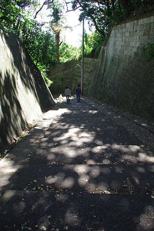 IMGP7919