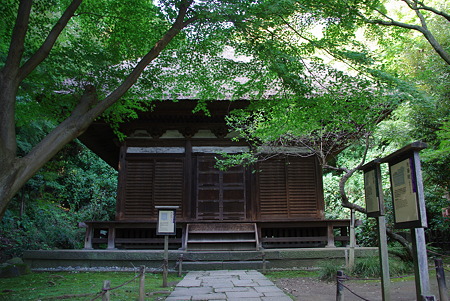 IMGP8014