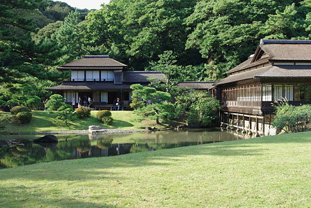 IMGP8046