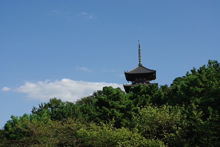 IMGP8034