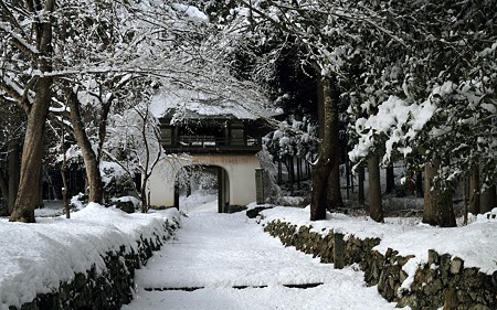 古知谷阿弥陀寺05