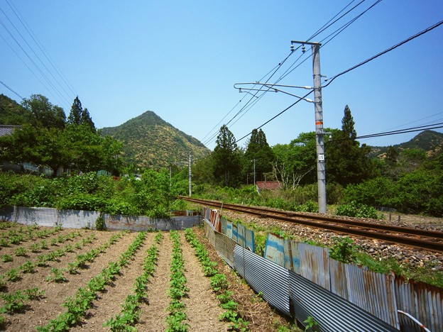 線路のある風景