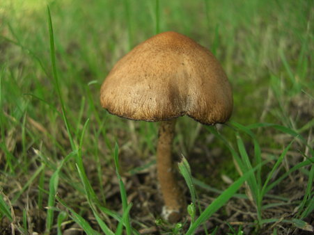 CIMG0778