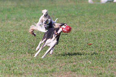 IMG_7028