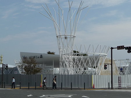 091019-Y150 はじまりの森 跡