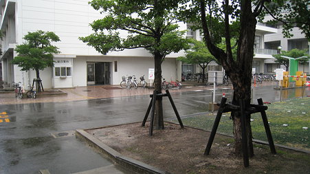 ame