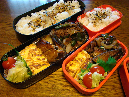 お弁当@2009/7/29