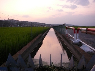 用水路