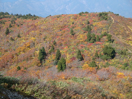 DSC01260