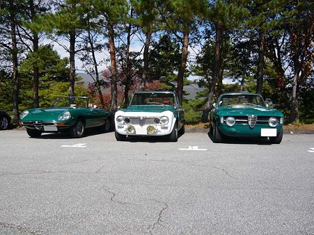 緑な車たち