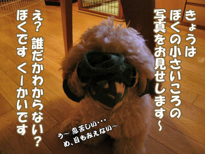 アグリーくーかい 1