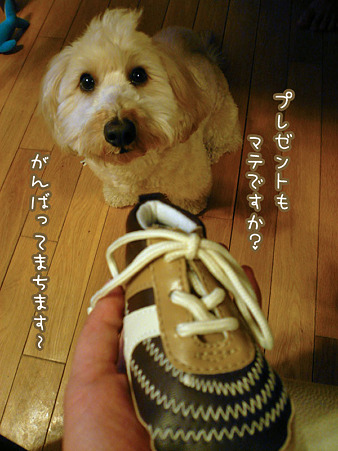 くーかい 3歳の誕生日♪ 6