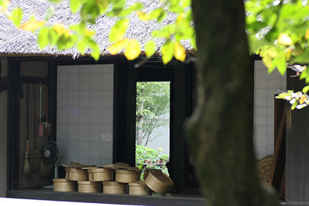 2009.09.27 長屋門公園 竹