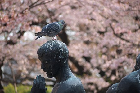 2011.04.11　皇居　半蔵壕公園　自由の群像　鳩