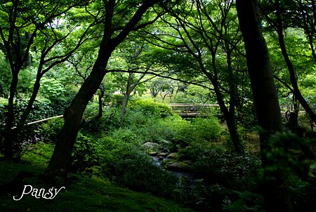 緑の散歩道・・
