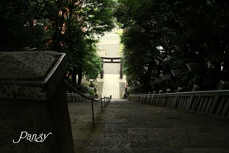 出世の階段・・ 芝さんぽ~17